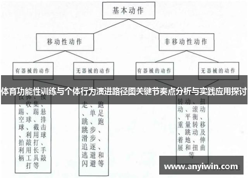 体育功能性训练与个体行为演进路径图关键节奏点分析与实践应用探讨